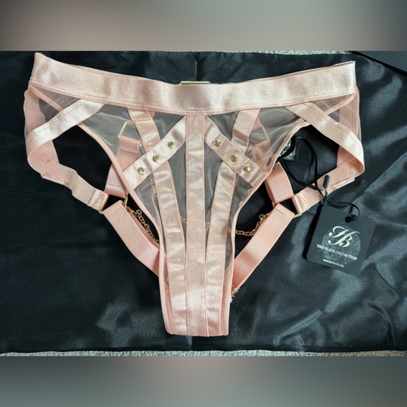 Honey Birdette Indria Brief Panty in Soft Peach with Gold Chains, NWT, Size XS - Picture 4 of 11